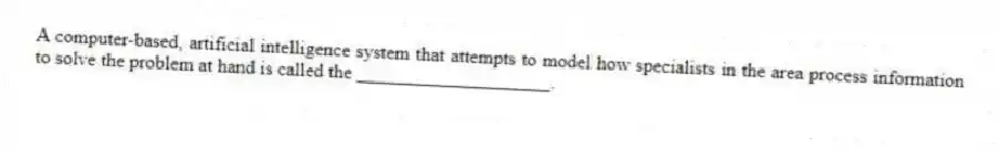 A computer-based, artificial intelligence system that attempts to model how specialists in the area process information to solve the problem at hand is called the ____________________.