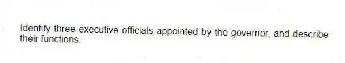 Identify three executive officials appointed by the governor, and describe their functions.