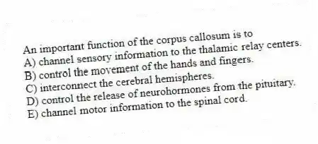 An important function of the corpus callosum is to
A) channel sensory information to the thalamic relay centers.
B) control the movement of the hands and fingers.
C) interconnect the cerebral hemispheres.
D) control the release of neurohormones from the pituitary.
E) channel motor information to the spinal cord.