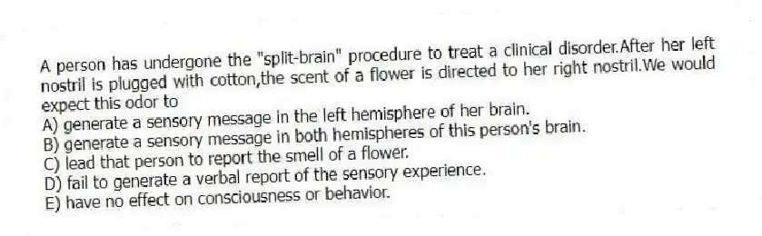 A person has undergone the "split-brain" procedure to treat a clinical disorder.After her left nostril is plugged with cotton,the scent of a flower is directed to her right nostril.We would expect this odor to
A) generate a sensory message in the left hemisphere of her brain.
B) generate a sensory message in both hemispheres of this person's brain.
C) lead that person to report the smell of a flower.
D) fail to generate a verbal report of the sensory experience.
E) have no effect on consciousness or behavior.