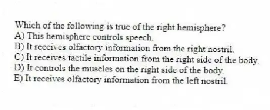 Which of the following is true of the right hemisphere?
A) This hemisphere controls speech.
B) It receives olfactory information from the right nostril.
C) It receives tactile information from the right side of the body.
D) It controls the muscles on the right side of the body.
E) It receives olfactory information from the left nostril.