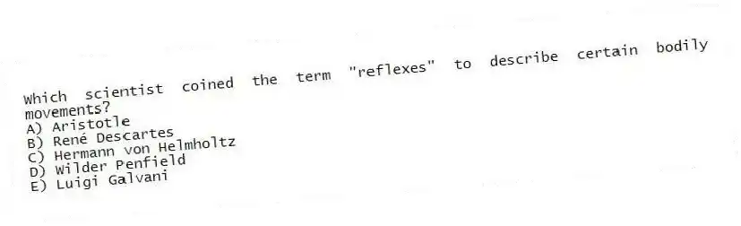 Which scientist coined the term "reflexes" to describe certain bodily movements?
A) Aristotle
B) René Descartes
C) Hermann von Helmholtz
D) Wilder Penfield
E) Luigi Galvani