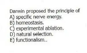 Darwin proposed the principle of
A) specific nerve energy.
B) homeostasis.
C) experimental ablation.
D) natural selection.
E) functionalism..