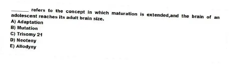 ________ refers to the concept in which maturation is extended,and the brain of an adolescent reaches its adult brain size.
A) Adaptation
B) Mutation
C) Trisomy 21
D) Neoteny
E) Allodyny