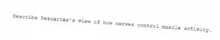 Describe Descartes's view of how nerves control muscle activity.