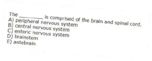 The ________ is comprised of the brain and spinal cord.
A) peripheral nervous system
B) central nervous system
C) enteric nervous system
D) brainstem
E) antebrain