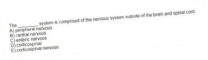 The ________ system is comprised of the nervous system outside of the brain and spinal cord.
A) peripheral nervous
B) central nervous
C) enteric nervous
D) corticospinal
E) corticospinal nervous