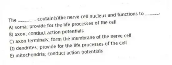 The ________ contain(s)the nerve cell nucleus and functions to ______.
A) soma; provide for the life processes of the cell
B) axon; conduct action potentials
C) axon terminals; form the membrane of the nerve cell
D) dendrites; provide for the life processes of the cell
E) mitochondria; conduct action potentials
