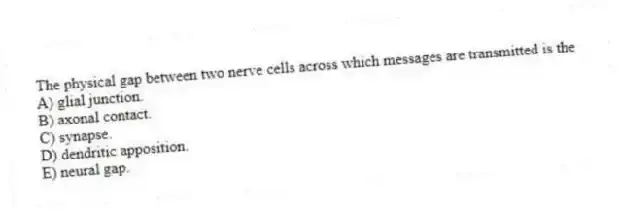 The physical gap between two nerve cells across which messages are transmitted is the
A) glial junction.
B) axonal contact.
C) synapse.
D) dendritic apposition.
E) neural gap.