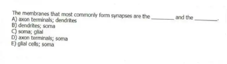 The membranes that most commonly form synapses are the ________ and the ________.
A) axon terminals; dendrites
B) dendrites; soma
C) soma; glial
D) axon terminals; soma
E) glial cells; soma