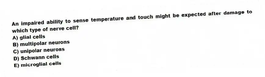 An impaired ability to sense temperature and touch might be expected after damage to which type of nerve cell?
A) glial cells
B) multipolar neurons
C) unipolar neurons
D) Schwann cells
E) microglial cells