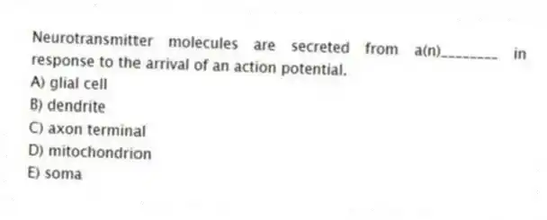Neurotransmitter molecules are secreted from a(n)________ in response to the arrival of an action potential.
A) glial cell
B) dendrite
C) axon terminal
D) mitochondrion
E) soma