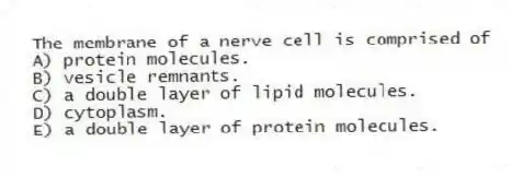 The membrane of a nerve cell is comprised of
A) protein molecules.
B) vesicle remnants.
C) a double layer of lipid molecules.
D) cytoplasm.
E) a double layer of protein molecules.