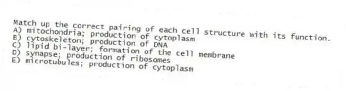 Match up the correct pairing of each cell structure with its function.
A) mitochondria; production of cytoplasm
B) cytoskeleton; production of DNA
C) lipid bi-layer; formation of the cell membrane
D) synapse; production of ribosomes
E) microtubules; production of cytoplasm