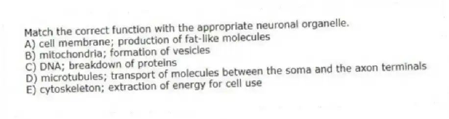 Match the correct function with the appropriate neuronal organelle.
A) cell membrane; production of fat-like molecules
B) mitochondria; formation of vesicles
C) DNA; breakdown of proteins
D) microtubules; transport of molecules between the soma and the axon terminals
E) cytoskeleton; extraction of energy for cell use