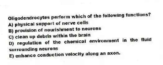 Oligodendrocytes perform which of the following functions?
A) physical support of nerve cells
B) provision of nourishment to neurons
C) clean up debris within the brain
D) regulation of the chemical environment in the fluid surrounding neurons
E) enhance conduction velocity along an axon.