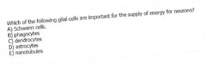 Which of the following glial cells are important for the supply of energy for neurons?
A) Schwann cells.
B) phagocytes
C) dendrocytes
D) astrocytes
E) nanotubules