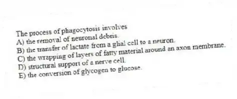 The process of phagocytosis involves
A) the removal of neuronal debris.
B) the transfer of lactate from a glial cell to a neuron.
C) the wrapping of layers of fatty material around an axon membrane.
D) structural support of a nerve cell.
E) the conversion of glycogen to glucose.