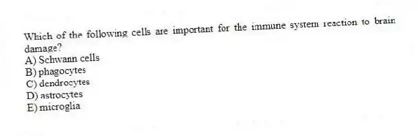 Which of the following cells are important for the immune system reaction to brain damage?
A) Schwann cells
B) phagocytes
C) dendrocytes
D) astrocytes
E) microglia