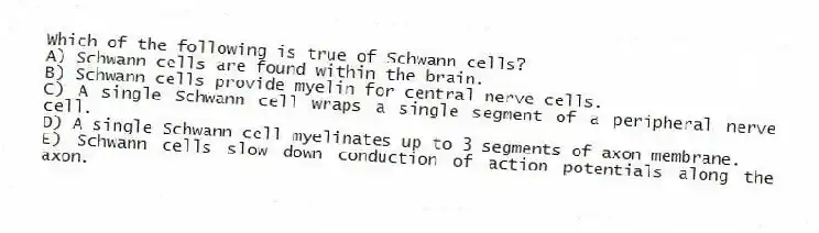 Which of the following is true of Schwann cells?
A) Schwann cells are found within the brain.
B) Schwann cells provide myelin for central nerve cells.
C) A single Schwann cell wraps a single segment of a peripheral nerve cell.
D) A single Schwann cell myelinates up to 3 segments of axon membrane.
E) Schwann cells slow down conduction of action potentials along the axon.