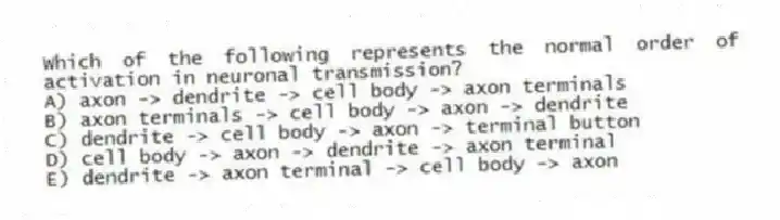 Which of the following represents the normal order of activation in neuronal transmission?
A) axon -> dendrite -> cell body -> axon terminals
B) axon terminals -> cell body -> axon -> dendrite
C) dendrite -> cell body -> axon -> terminal button
D) cell body -> axon -> dendrite -> axon terminal
E) dendrite -> axon terminal -> cell body -> axon