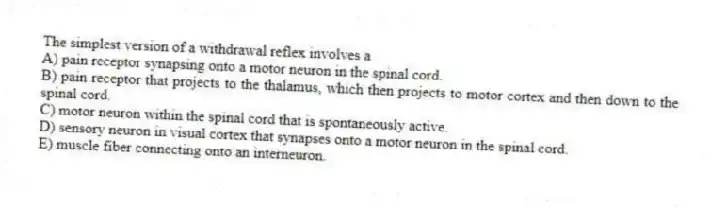 The simplest version of a withdrawal reflex involves a
A) pain receptor synapsing onto a motor neuron in the spinal cord.
B) pain receptor that projects to the thalamus, which then projects to motor cortex and then down to the spinal cord.
C) motor neuron within the spinal cord that is spontaneously active.
D) sensory neuron in visual cortex that synapses onto a motor neuron in the spinal cord.
E) muscle fiber connecting onto an interneuron.