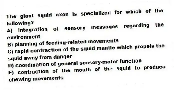 The giant squid axon is specialized for which of the following?
A) integration of sensory messages regarding the environment
B) planning of feeding-related movements
C) rapid contraction of the squid mantle which propels the squid away from danger
D) coordination of general sensory-motor function
E) contraction of the mouth of the squid to produce chewing movements