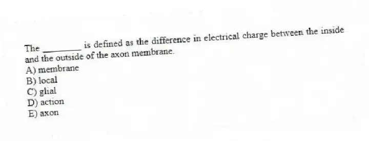 The ________ is defined as the difference in electrical charge between the inside and the outside of the axon membrane.
A) membrane
B) local
C) glial
D) action
E) axon