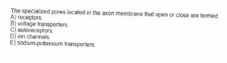 The specialized pores located in the axon membrane that open or close are termed
A) receptors.
B) voltage transporters.
C) autoreceptors.
D) ion channels.
E) sodium-potassium transporters.