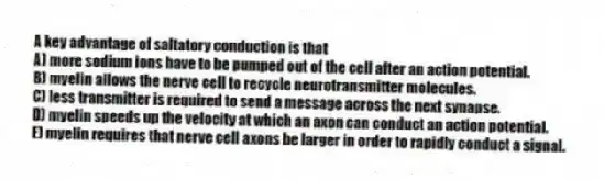 A key advantage of saltatory conduction is that
A) more sodium ions have to be pumped out of the cell after an action potential.
B) myelin allows the nerve cell to recycle neurotransmitter molecules.
C) less transmitter is required to send a message across the next synapse.
D) myelin speeds up the velocity at which an axon can conduct an action potential.
E) myelin requires that nerve cell axons be larger in order to rapidly conduct a signal.