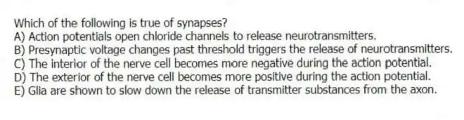 Which of the following is true of synapses?
A) Action potentials open chloride channels to release neurotransmitters.
B) Presynaptic voltage changes past threshold triggers the release of neurotransmitters.
C) The interior of the nerve cell becomes more negative during the action potential.
D) The exterior of the nerve cell becomes more positive during the action potential.
E) Glia are shown to slow down the release of transmitter substances from the axon.