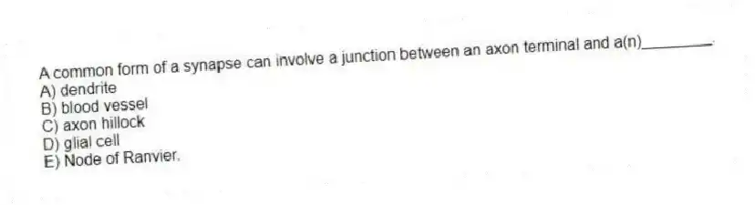 A common form of a synapse can involve a junction between an axon terminal and a(n)________.
A) dendrite
B) blood vessel
C) axon hillock
D) glial cell
E) Node of Ranvier.