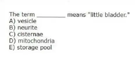 The term ________ means "little bladder."
A) vesicle
B) neurite
C) cisternae
D) mitochondria
E) storage pool