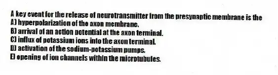 A key event for the release of neurotransmitter from the presynaptic membrane is the
A) hyperpolarization of the axon membrane.
B) arrival of an action potential at the axon terminal.
C) influx of potassium ions into the axon terminal.
D) activation of the sodium-potassium pumps.
E) opening of ion channels within the microtubules.