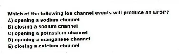 Which of the following ion channel events will produce an EPSP?
A) opening a sodium channel
B) closing a sodium channel
C) opening a potassium channel
D) opening a manganese channel
E) closing a calcium channel