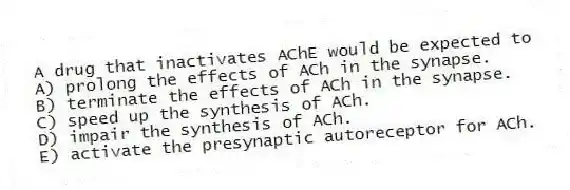 A drug that inactivates AChE would be expected to
A) prolong the effects of ACh in the synapse.
B) terminate the effects of ACh in the synapse.
C) speed up the synthesis of ACh.
D) impair the synthesis of ACh.
E) activate the presynaptic autoreceptor for ACh.