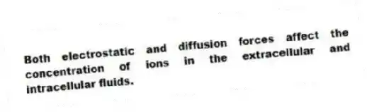 Both electrostatic and diffusion forces affect the concentration of ions in the extracellular and intracellular fluids.