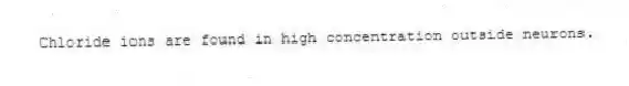 Chloride ions are found in high concentration outside neurons.