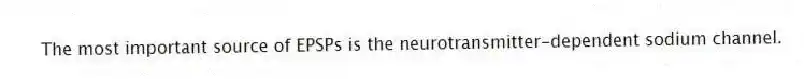 The most important source of EPSPs is the neurotransmitter-dependent sodium channel.