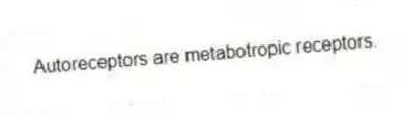 Autoreceptors are metabotropic receptors.