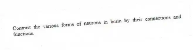 Contrast the various forms of neurons in brain by their connections and functions.