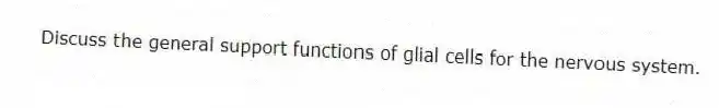 Discuss the general support functions of glial cells for the nervous system.