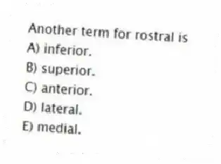 Another term for rostral is
A) inferior.
B) superior.
C) anterior.
D) lateral.
E) medial.
