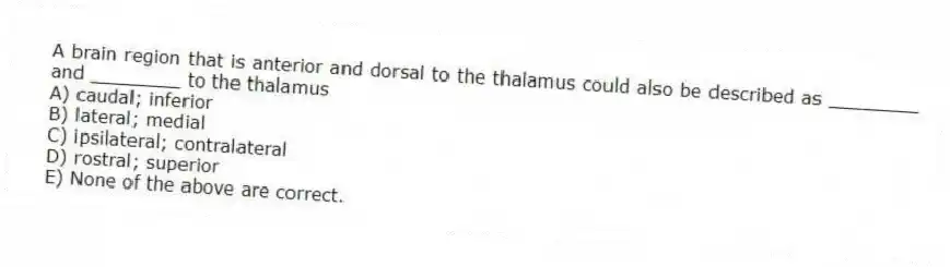 A brain region that is anterior and dorsal to the thalamus could also be described as ________ and ________ to the thalamus
A) caudal; inferior
B) lateral; medial
C) ipsilateral; contralateral
D) rostral; superior
E) None of the above are correct.