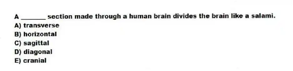 A ________ section made through a human brain divides the brain like a salami.
A) transverse
B) horizontal
C) sagittal
D) diagonal
E) cranial