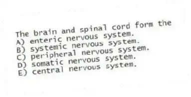 The brain and spinal cord form the
A) enteric nervous system.
B) systemic nervous system.
C) peripheral nervous system.
D) somatic nervous system.
E) central nervous system.