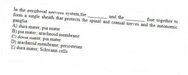 In the peripheral nervous system,the ________ and the ________ fuse together to form a single sheath that protects the spinal and cranial nerves and the autonomic ganglia.
A) dura mater; pia mater
B) pia mater; arachnoid membrane
C) dorsa mater; pia mater
D) arachnoid membrane; periosteum
E) dura mater; Schwann cells