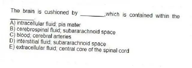 The brain is cushioned by ________,which is contained within the ________.
A) intracellular fluid; pia mater
B) cerebrospinal fluid; subararachnoid space
C) blood; cerebral arteries
D) interstitial fluid; subararachnoid space
E) extracellular fluid; central core of the spinal cord
