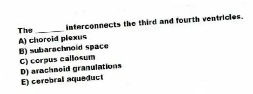 The ________ interconnects the third and fourth ventricles.
A) choroid plexus
B) subarachnoid space
C) corpus callosum
D) arachnoid granulations
E) cerebral aqueduct