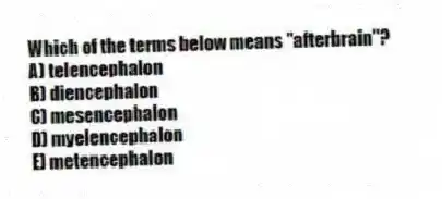 Which of the terms below means "afterbrain"?
A) telencephalon
B) diencephalon
C) mesencephalon
D) myelencephalon
E) metencephalon